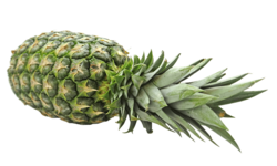 Pineapple