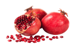 Pomegranate