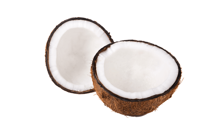 image d'une noix de coco