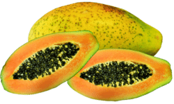 Papaya