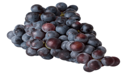 Grapes